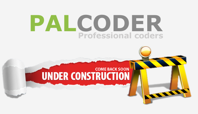 PalCoder for IT systems | بال كودر لنظم تكنولوجيا المعلومات